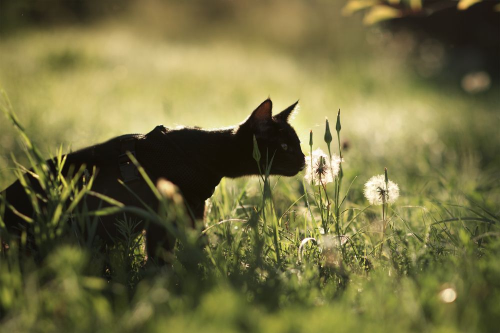 Photograph by Екатерина Буртасова