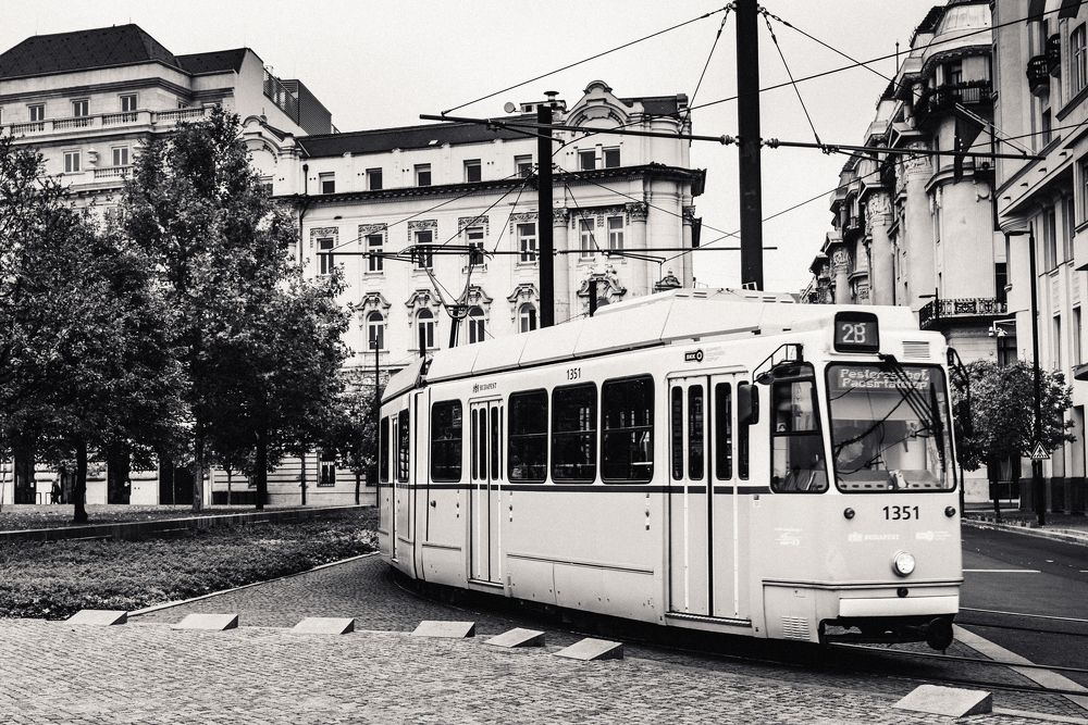 Photograph by Kononov Anatolii