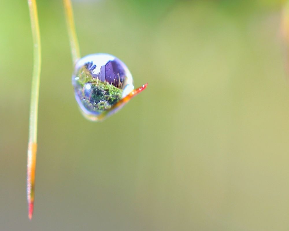 Photograph by Мамикон Мовсесян