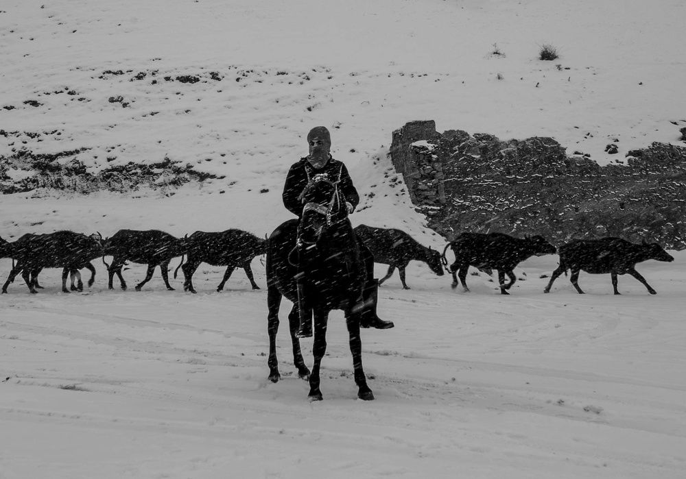 Photograph by Sevgin Cingöz