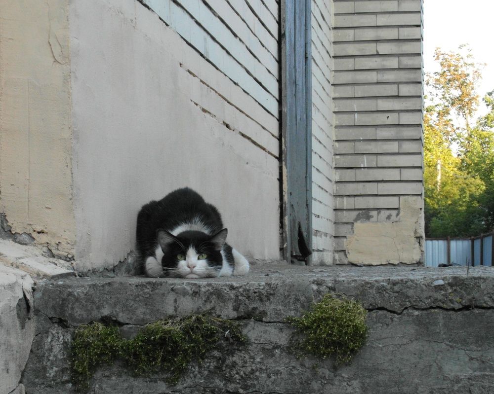 Photograph by Татьяна Масловская