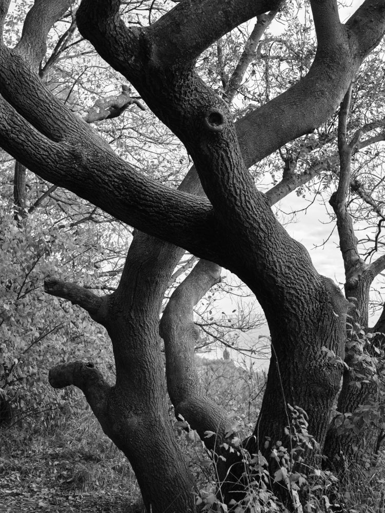 Photograph by Михаил Нестеренко