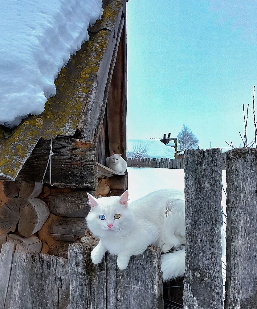 Photograph by Николай Михалев