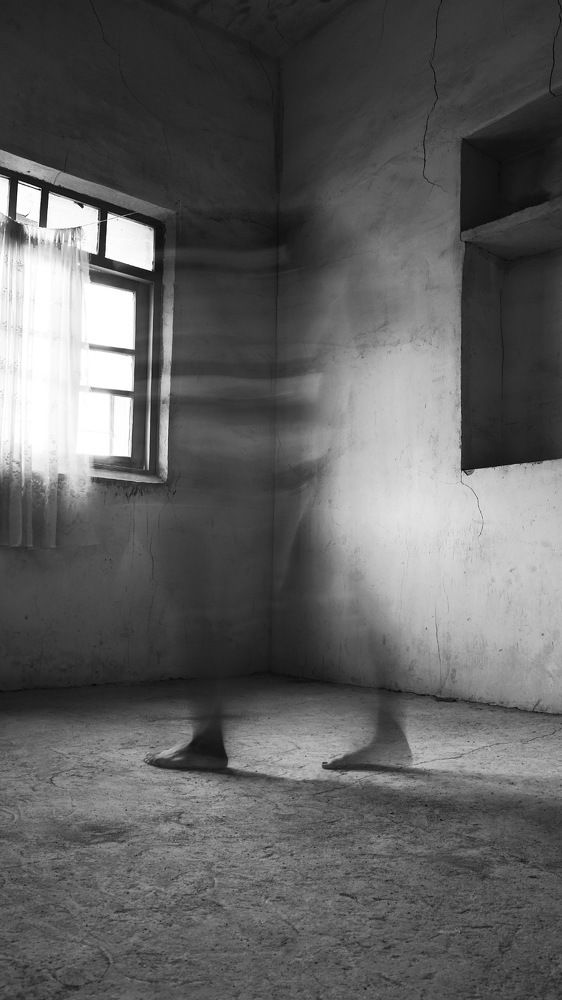 Фотография автора Z Fatemi