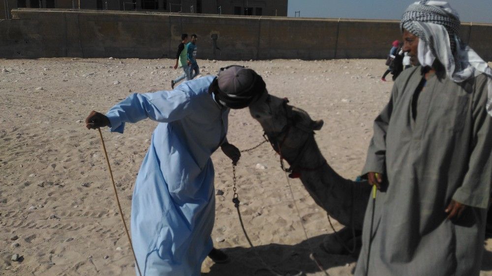 Photo #8815448