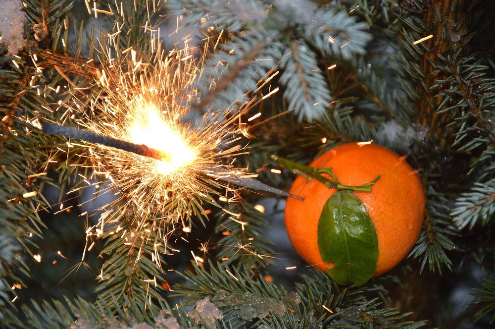 Photograph by Евгений Даниленко