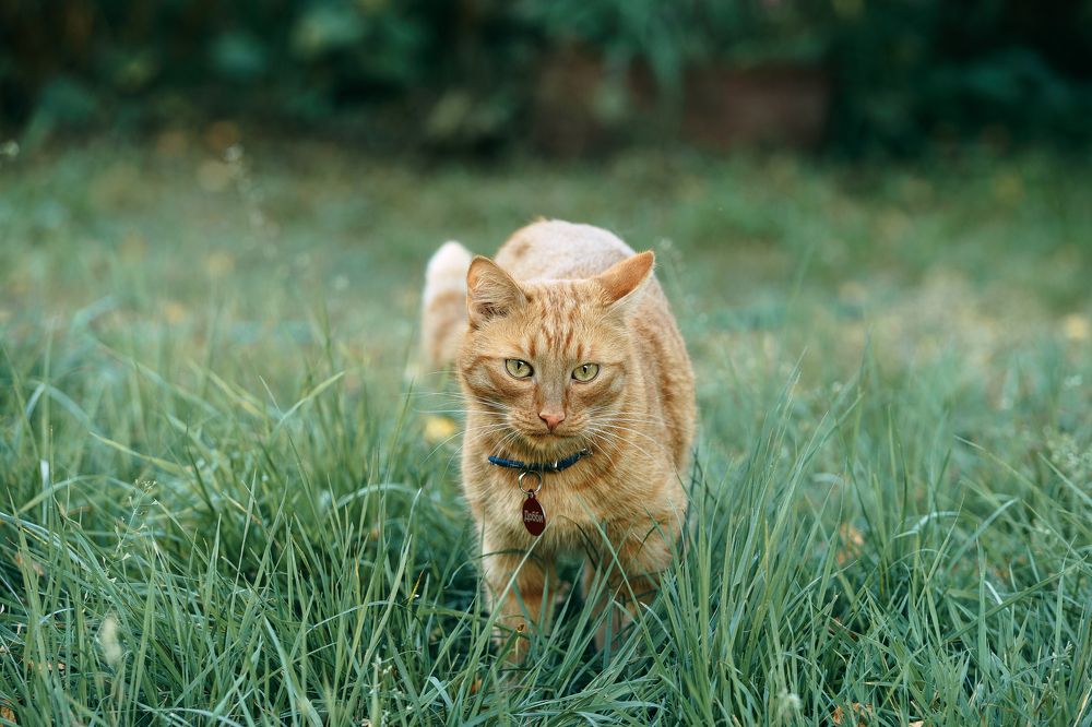 Photograph by Александр Акатьев