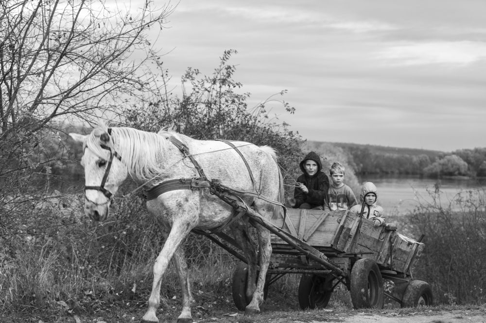 Фотография автора Ирина Зайцева