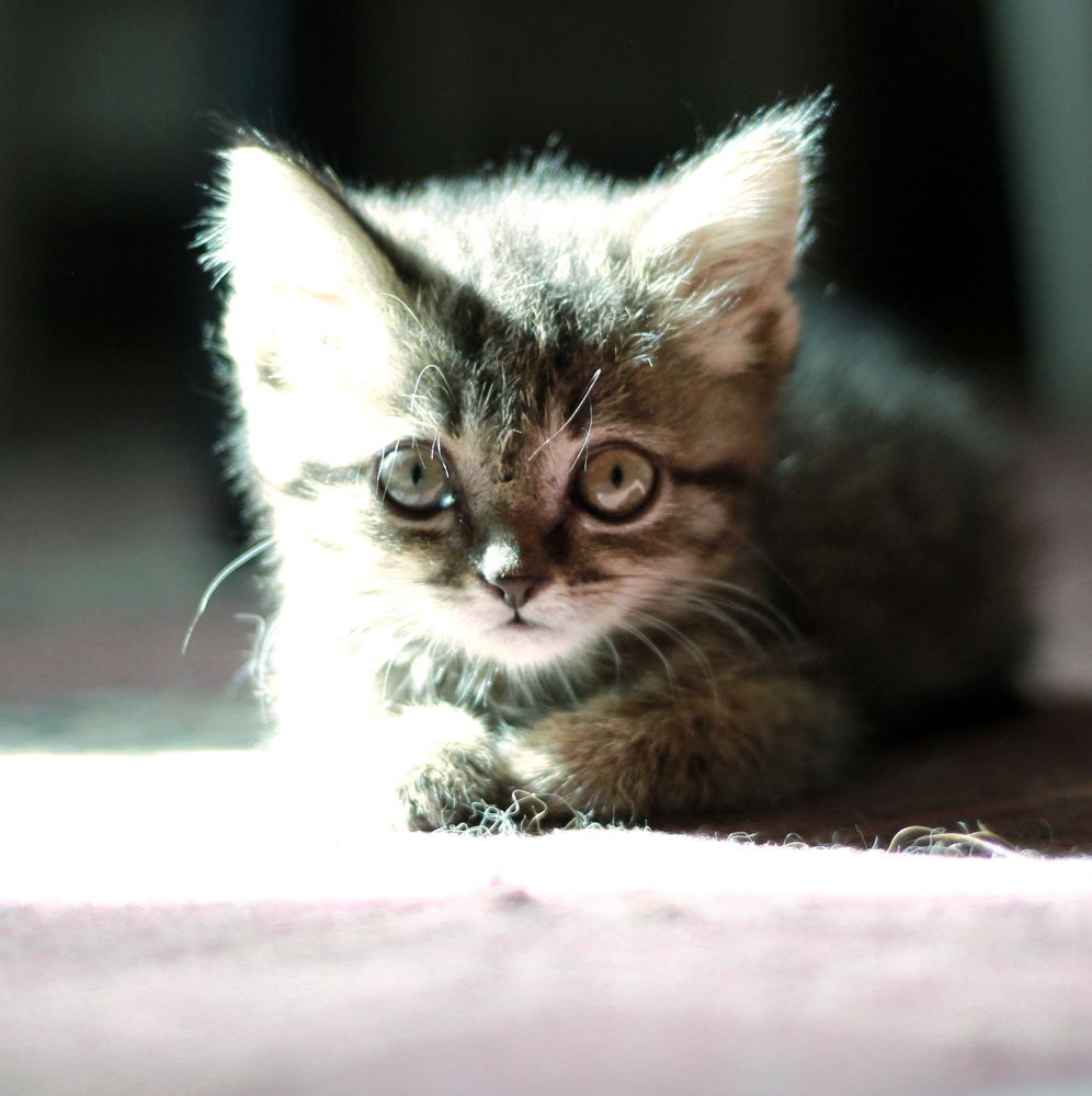 Photograph by Ксения Любченко