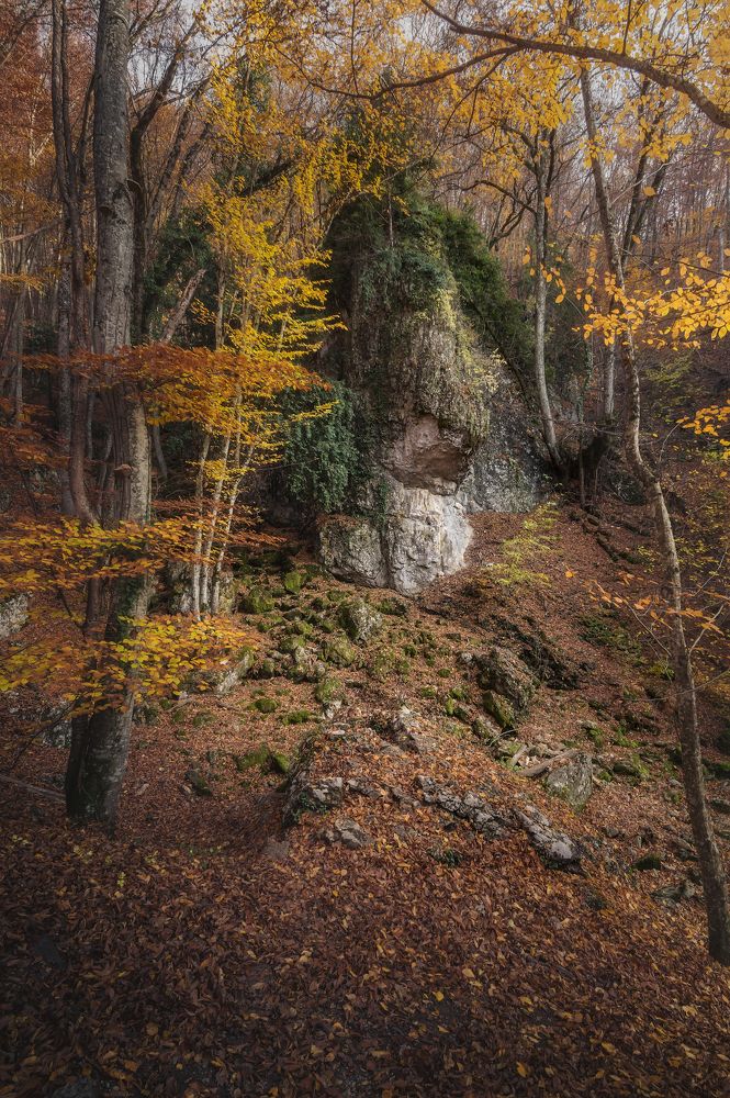 Photograph by Черкасов Сергей