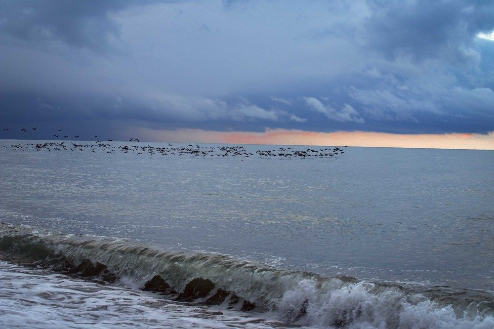 Photograph by Екатерина Рябинина