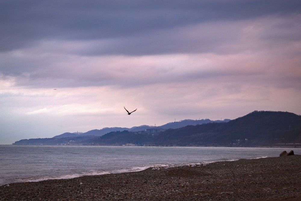 Photograph by Екатерина Рябинина