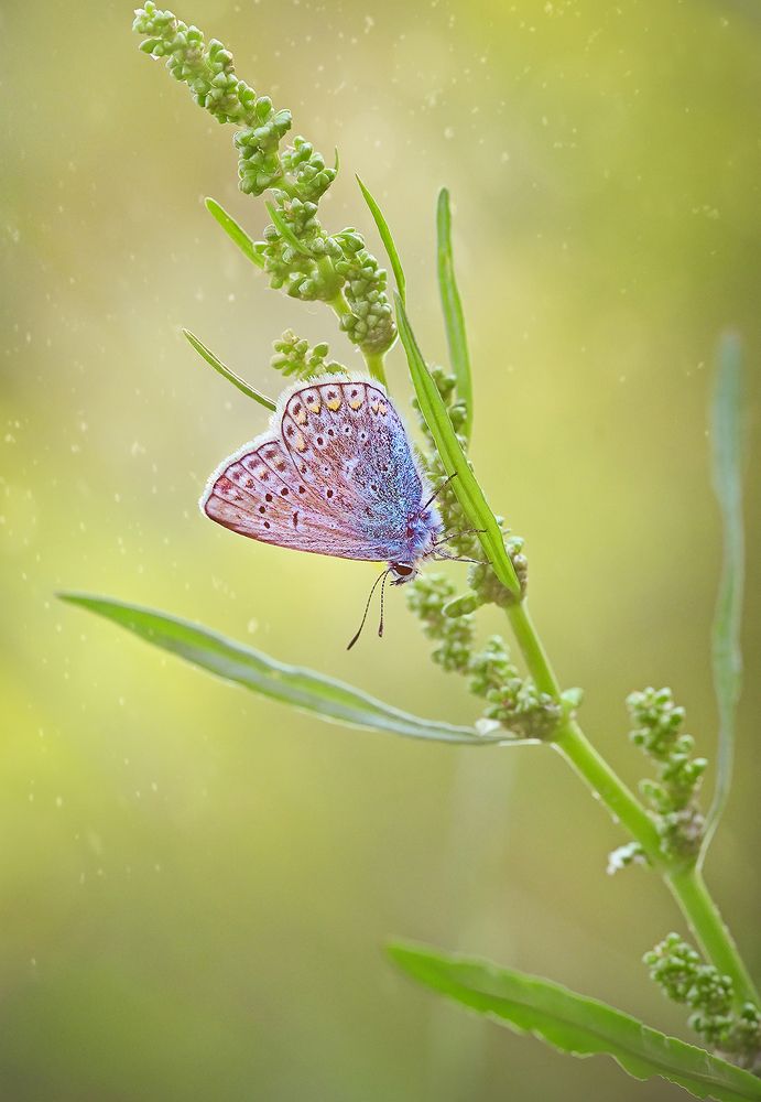 Photograph by Dana S.