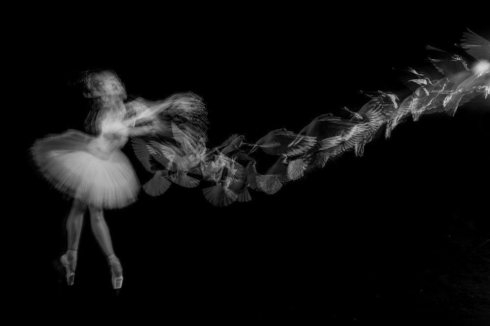 Photograph by Stuart