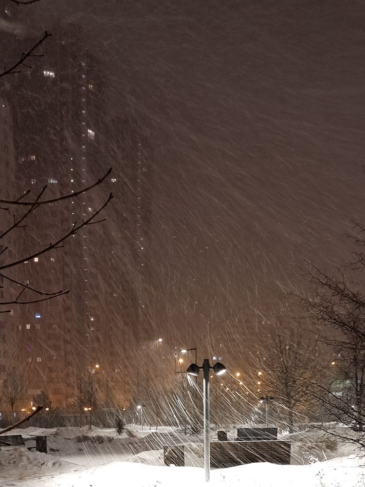 Фотография автора Светлана Алексеева