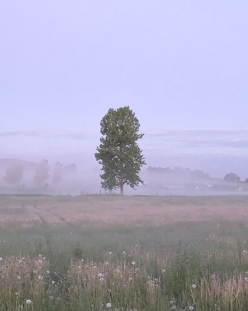 Photograph by Лариса Акинчиц
