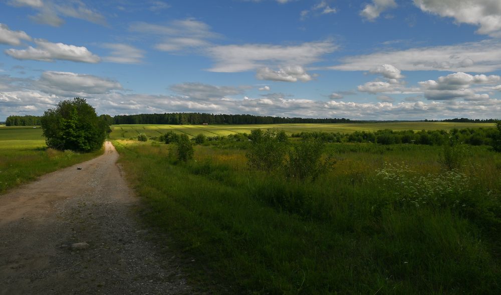 Photograph by Юлия Лис-а