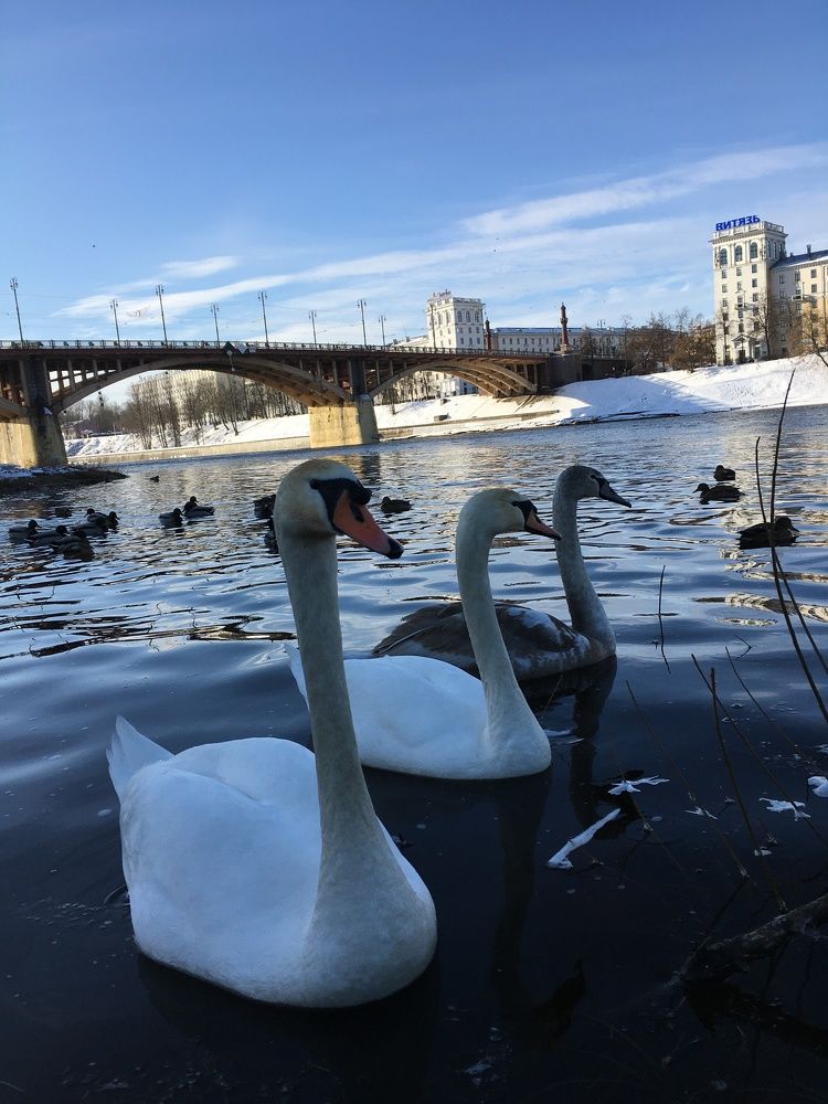 Фотография автора Александр Сипаров
