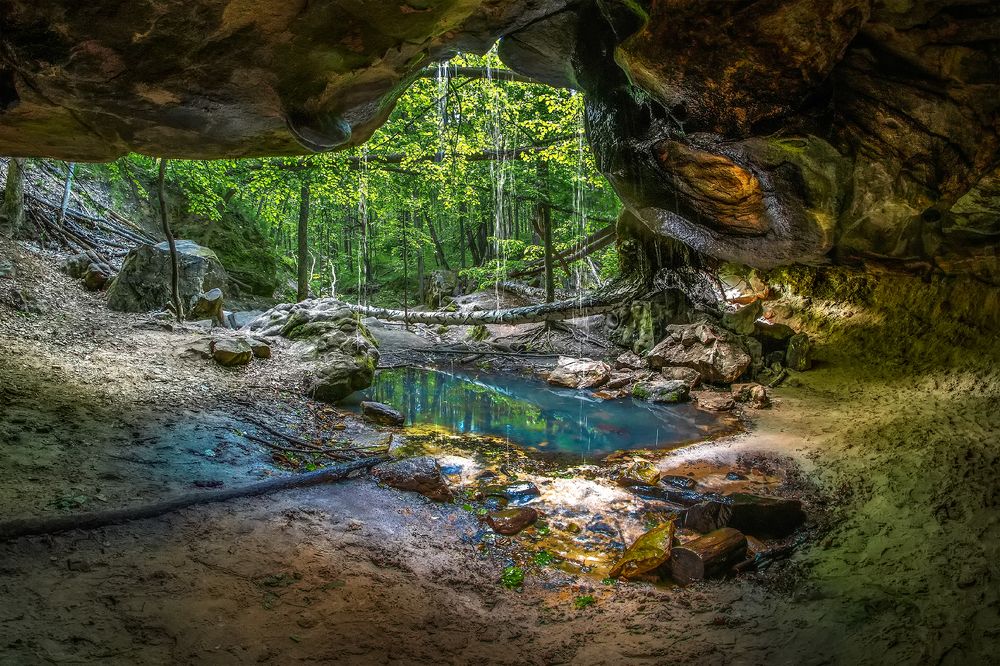 Photograph by олег кирюшкин