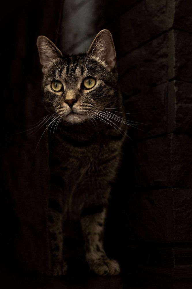 Photograph by Оксана Лукшина