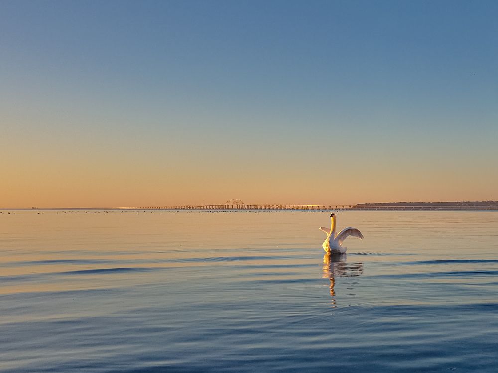 Photograph by Лариса Когтева