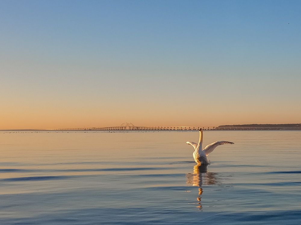 Photograph by Лариса Когтева