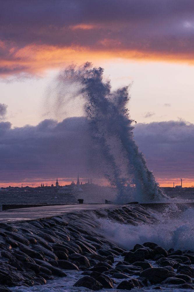 Photograph by Maria Anton