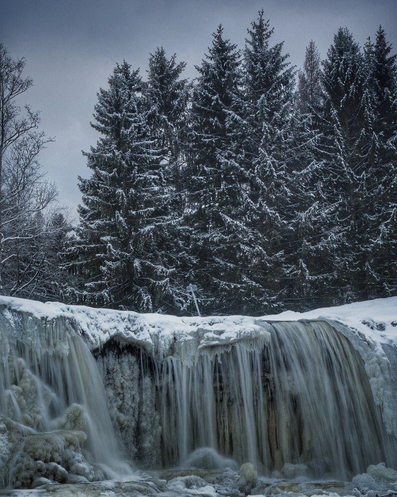 Photograph by Maria Anton