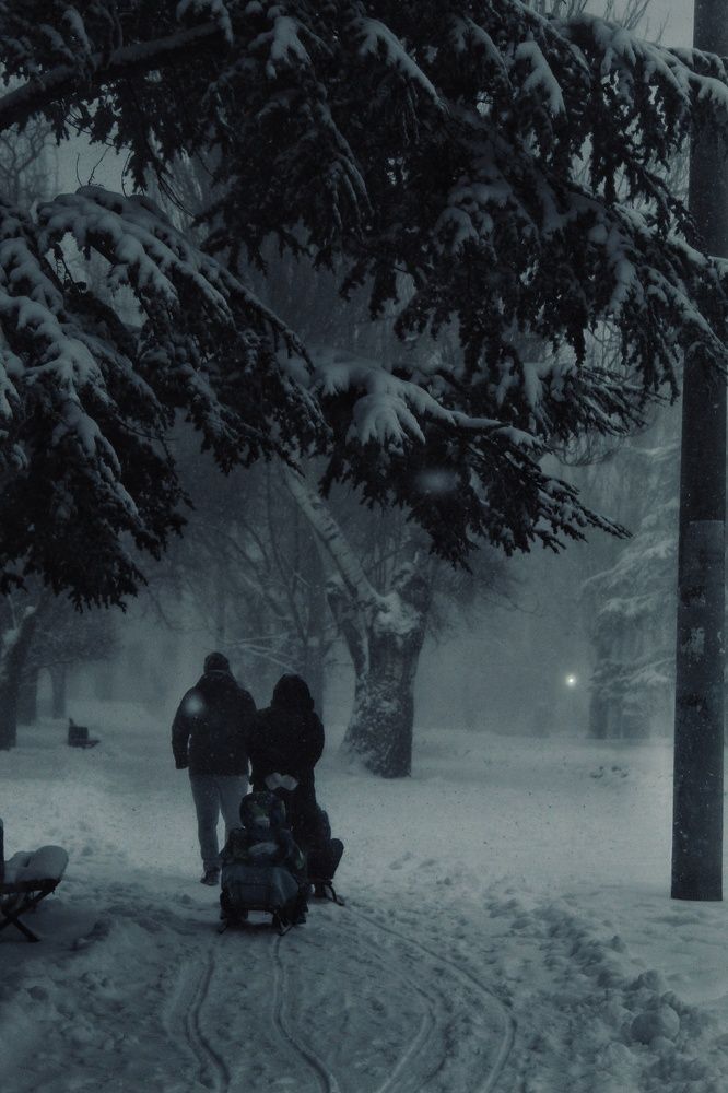 Photograph by Регина Сабо