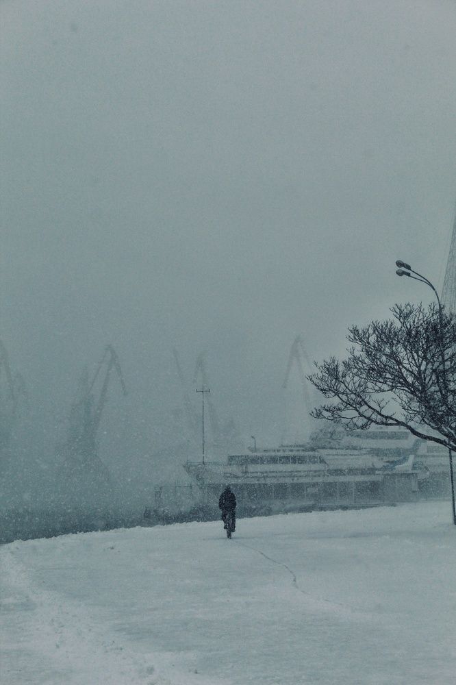 Photograph by Регина Сабо