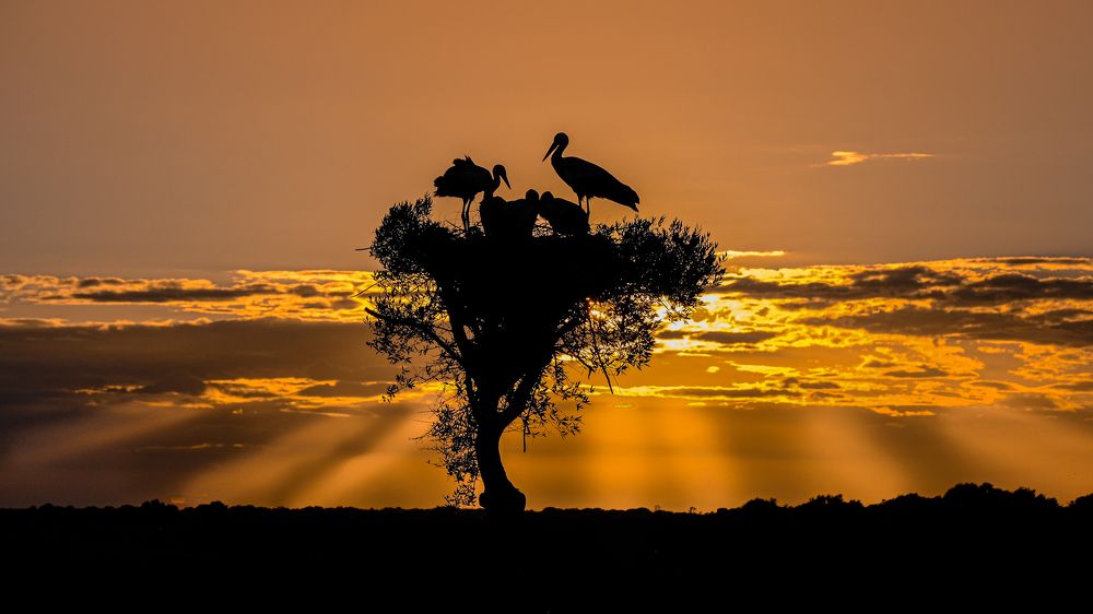 Photograph by Manuel