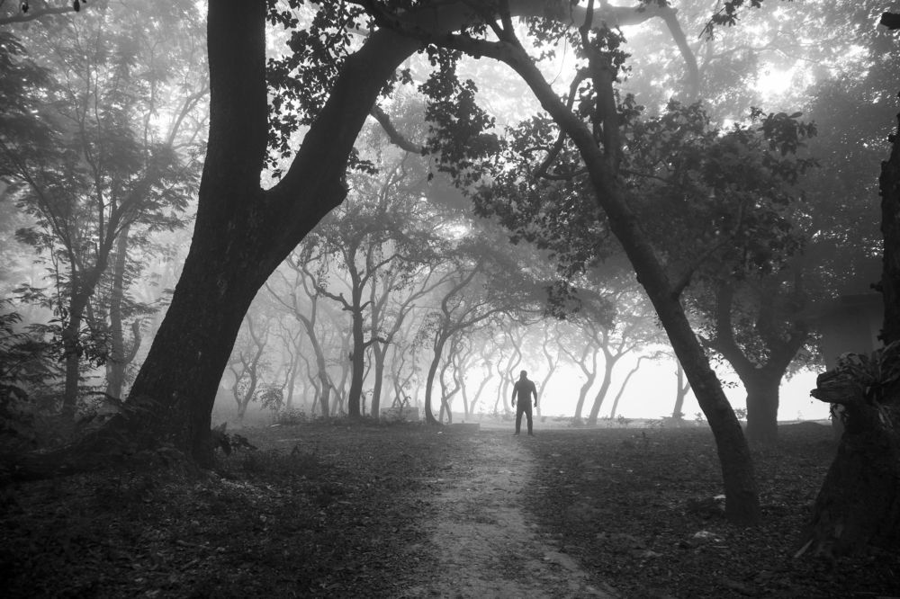 Photograph by Sakibul Islam