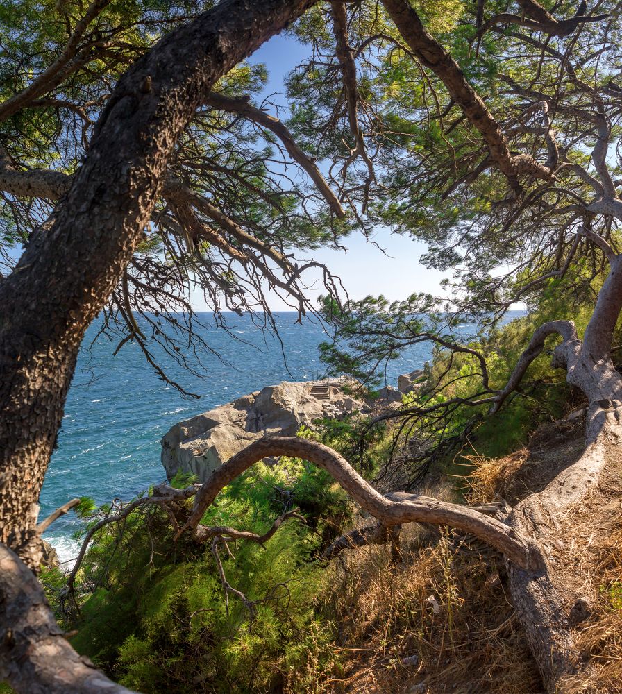 Photograph by Алексей