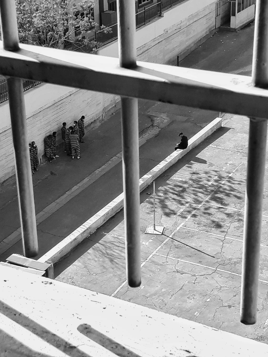 Photo #8816176