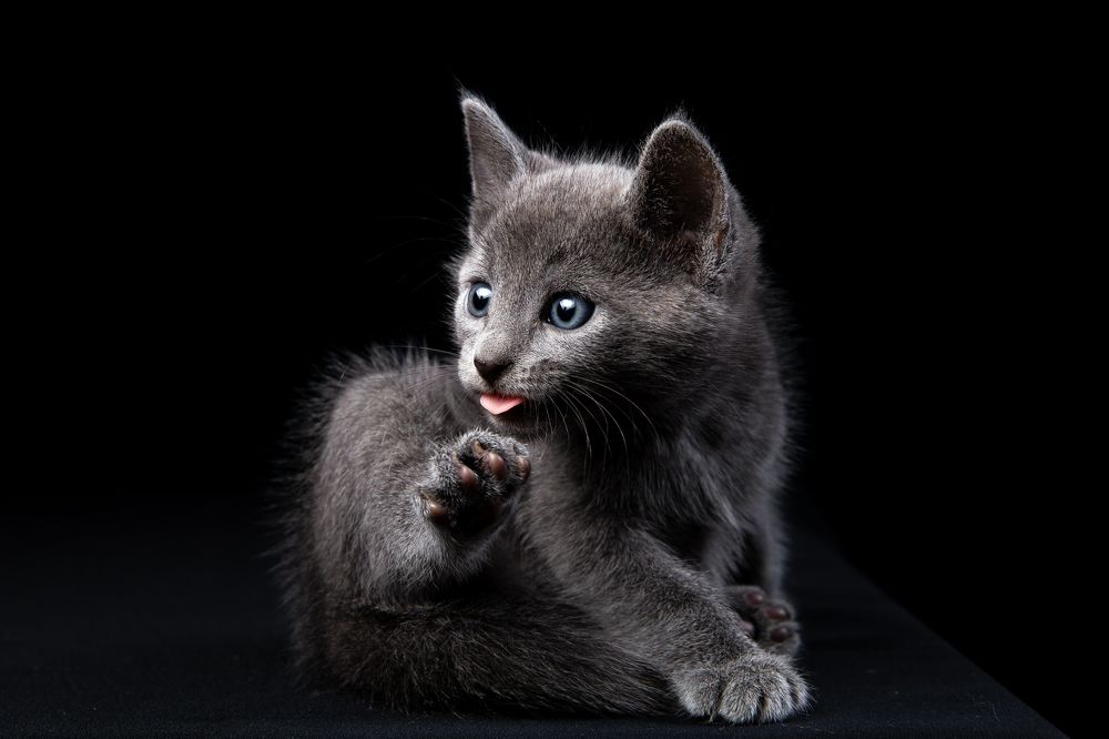 Photograph by Ильяс Бекмансуров