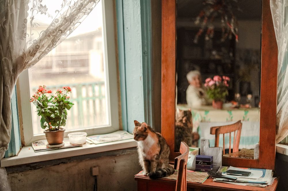 Photograph by Мария Данилкина