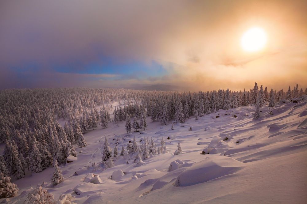 Photograph by Евдокимов Сергей