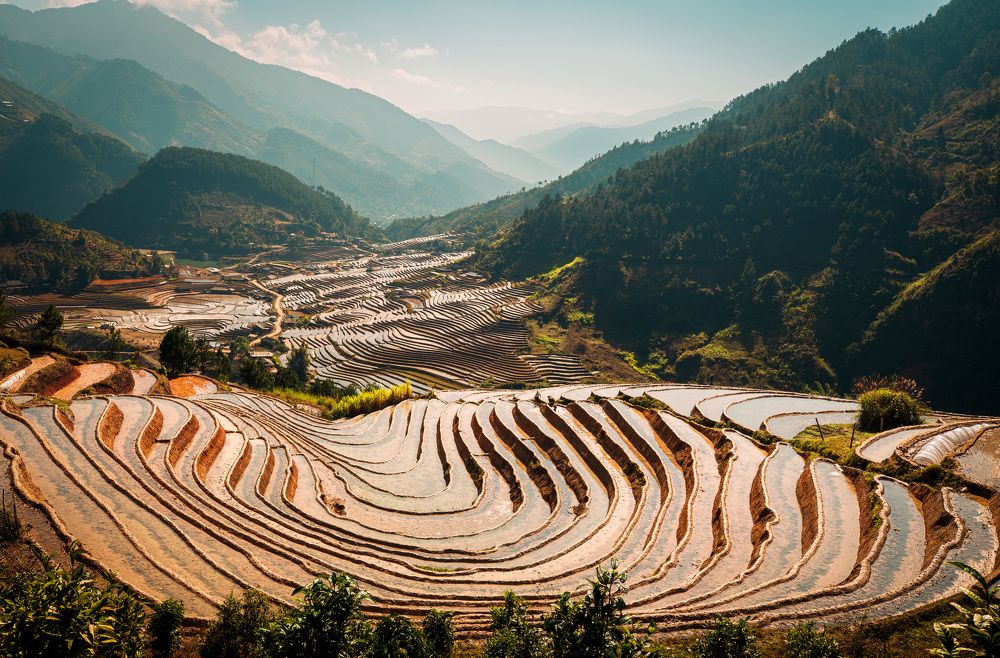 Photograph by Hanh P. T. Pham