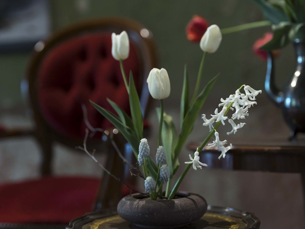 Photograph by Susanna Kari