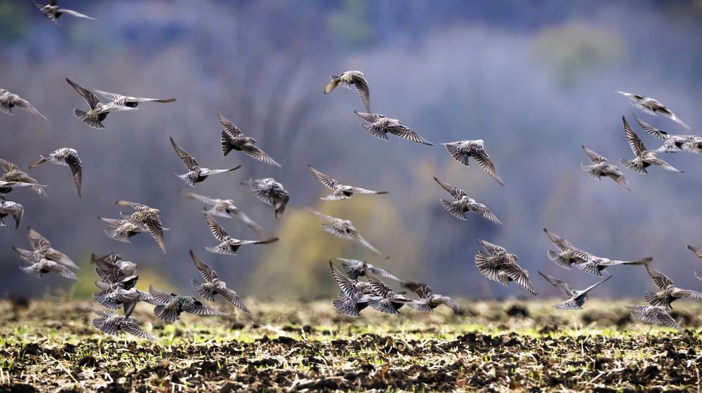 Photograph by Stamen Sotirov
