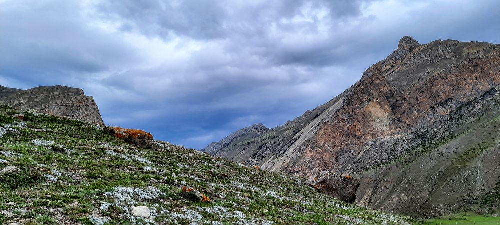 Photograph by Ольга Глухарёва