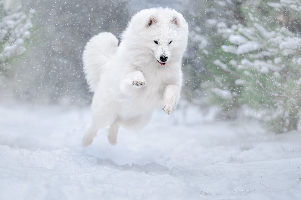 Фотография автора Оксана Серова