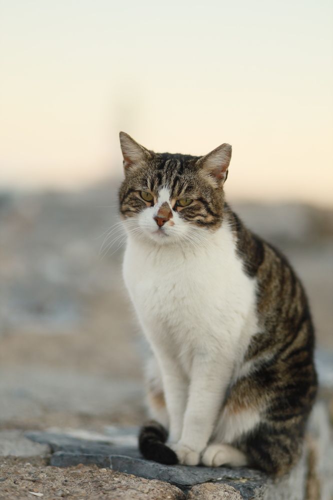 Photograph by Олеся Белецкая