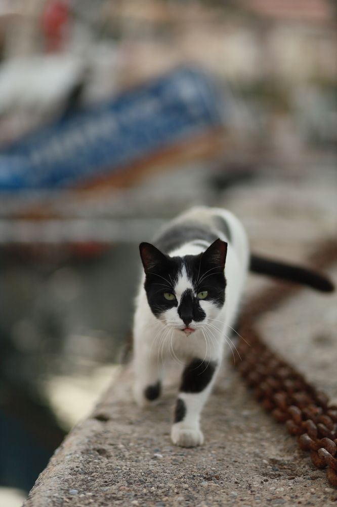 Photograph by Олеся Белецкая