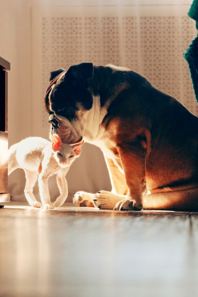 Фотография автора Артём Кошелев