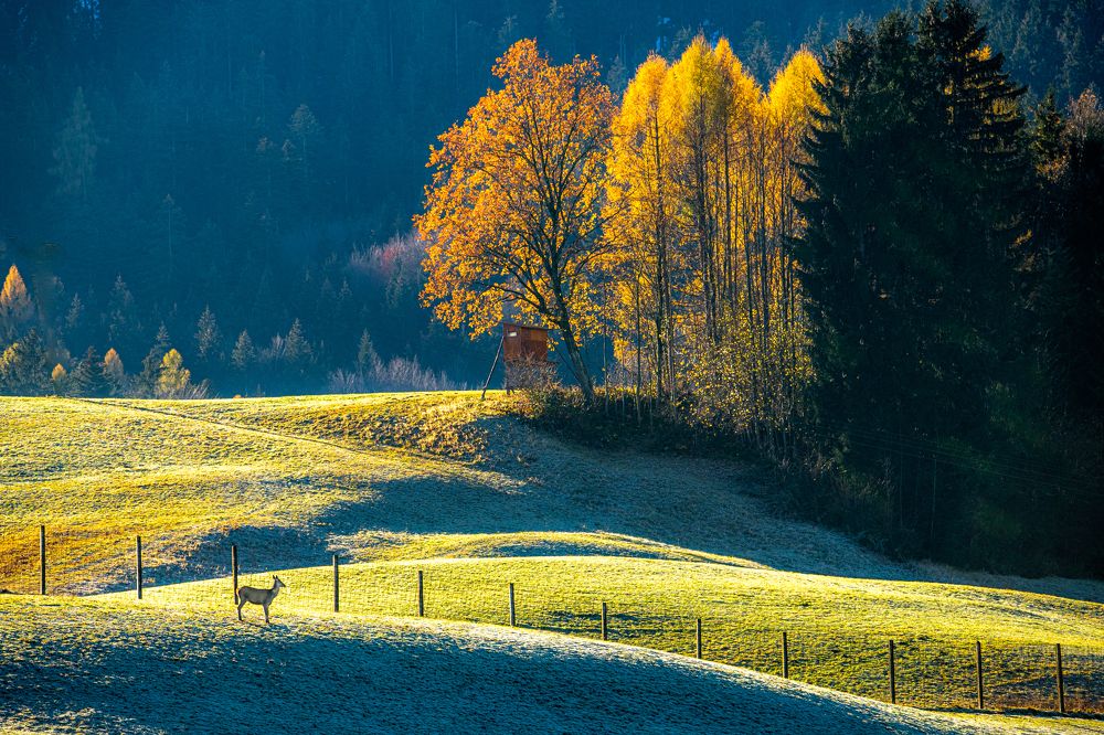 Photograph by ПАВЕЛ