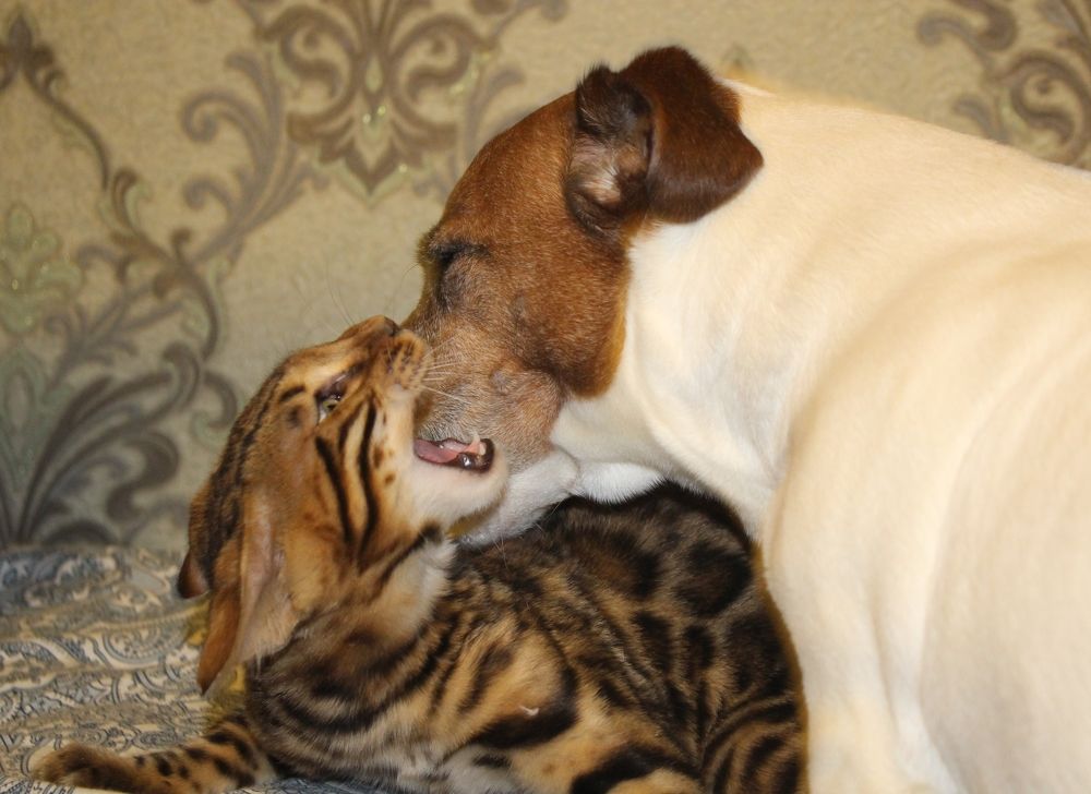 Photograph by Ольга