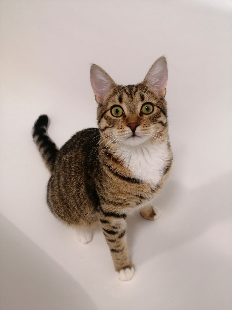 Photograph by Юлія Гацко