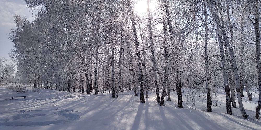 Photograph by Людмила Фризен