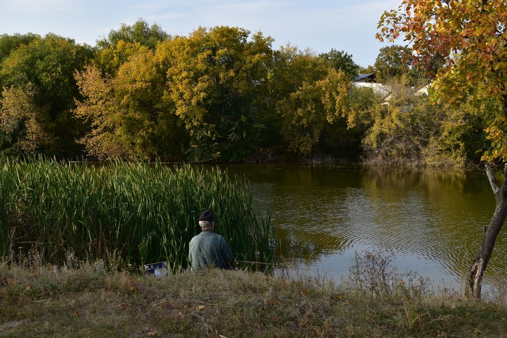 Photograph by Фирсова Наталья